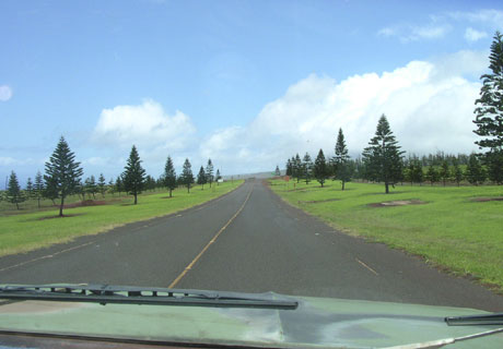 ラナイ島道路