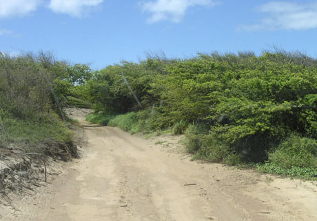 道路